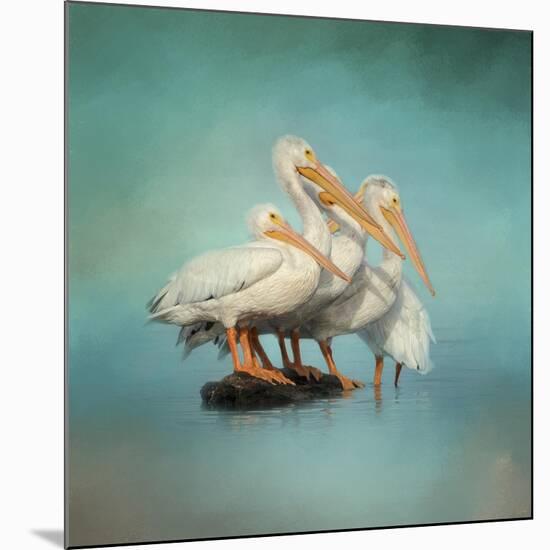 We are Family White Pelicans-Jai Johnson-Mounted Giclee Print