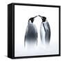 We are King Penguin-Judy Tseng-Framed Stretched Canvas