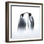 We are King Penguin-Judy Tseng-Framed Giclee Print