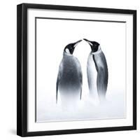 We are King Penguin-Judy Tseng-Framed Giclee Print