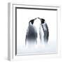 We are King Penguin-Judy Tseng-Framed Giclee Print