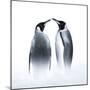 We are King Penguin-Judy Tseng-Mounted Giclee Print