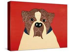 We Can Choose Boxer-Stephen Huneck-Stretched Canvas