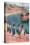 "We Gazed at the Birds with Surprise and Pleasure, They Returning Our Gaze with Interest"-William Henry Charles Groome-Stretched Canvas