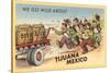 We Go Wild About Tijuana-null-Stretched Canvas