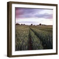 We Grow Together-Craig Roberts-Framed Photographic Print