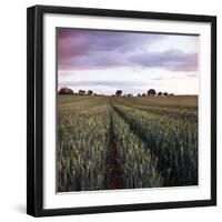 We Grow Together-Craig Roberts-Framed Photographic Print