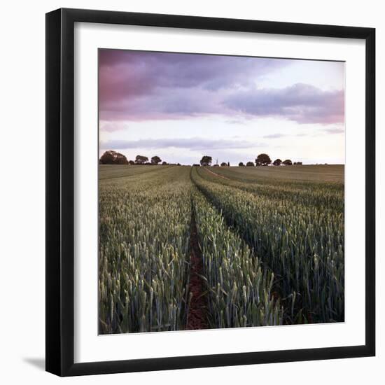 We Grow Together-Craig Roberts-Framed Photographic Print