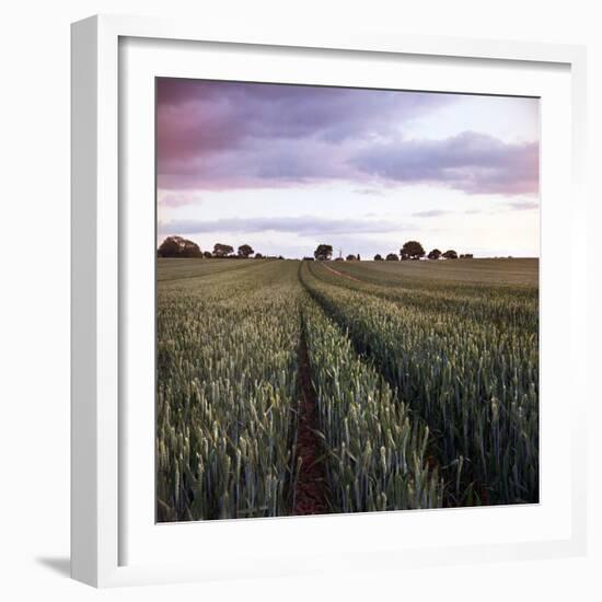 We Grow Together-Craig Roberts-Framed Photographic Print