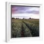 We Grow Together-Craig Roberts-Framed Photographic Print