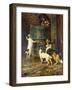 We Just Want to Play (Oil on Canvas)-Arthur Wardle-Framed Giclee Print