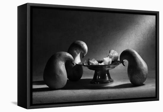 We'll Never Forget You...-Victoria Ivanova-Framed Stretched Canvas