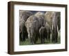 We're All Here-Art Wolfe-Framed Photographic Print
