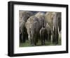 We're All Here-Art Wolfe-Framed Photographic Print