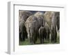 We're All Here-Art Wolfe-Framed Photographic Print