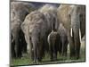 We're All Here-Art Wolfe-Mounted Photographic Print