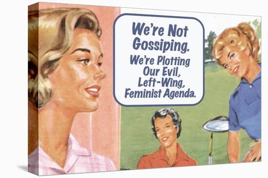 We're Not Gossiping We're Plotting Our Evil Feminist Agenda Funny Poster-Ephemera-Stretched Canvas