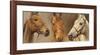 We Three Kings-Susan Crawford-Framed Giclee Print