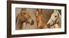 We Three Kings-Susan Crawford-Framed Giclee Print