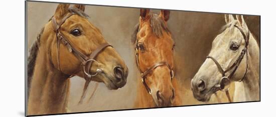 We Three Kings-Susan Crawford-Mounted Giclee Print