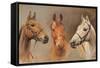 We Three Kings-Susan Crawford-Framed Stretched Canvas
