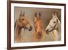 We Three Kings-Susan Crawford-Framed Art Print