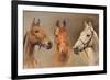 We Three Kings-Susan Crawford-Framed Art Print