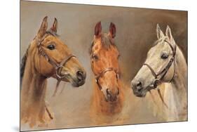 We Three Kings-Susan Crawford-Mounted Art Print