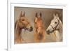 We Three Kings-Susan Crawford-Framed Premium Giclee Print