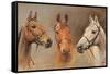 We Three Kings-Susan Crawford-Framed Stretched Canvas