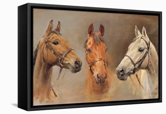 We Three Kings-Susan Crawford-Framed Stretched Canvas