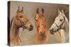 We Three Kings-Susan Crawford-Stretched Canvas