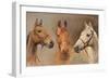 We Three Kings-Susan Crawford-Framed Art Print