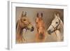 We Three Kings-Susan Crawford-Framed Art Print