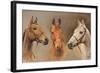 We Three Kings-Susan Crawford-Framed Art Print