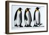 We Three Kings-Paul Powis-Framed Giclee Print