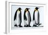 We Three Kings-Paul Powis-Framed Giclee Print