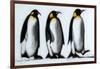 We Three Kings-Paul Powis-Framed Giclee Print