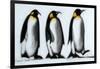 We Three Kings-Paul Powis-Framed Giclee Print