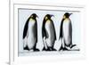 We Three Kings-Paul Powis-Framed Giclee Print