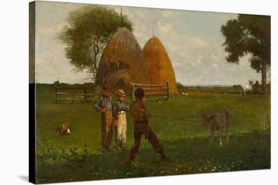 Weaning the Calf, 1875-Winslow Homer-Stretched Canvas