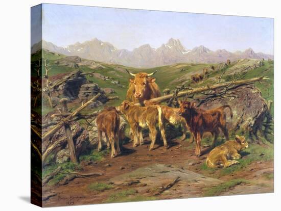 Weaning the Calves-Rosa Bonheur-Stretched Canvas