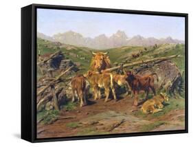 Weaning the Calves-Rosa Bonheur-Framed Stretched Canvas