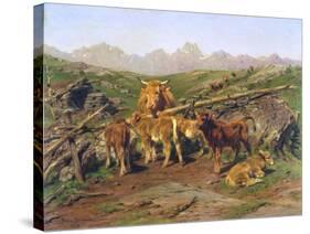 Weaning the Calves-Rosa Bonheur-Stretched Canvas