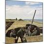 Weapon, Anti-Aircraft WW2-Unsere Wehrmacht-Mounted Photographic Print