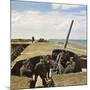 Weapon, Anti-Aircraft WW2-Unsere Wehrmacht-Mounted Photographic Print