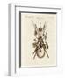 Weapons and Domestic Appliances of the Inhabitants of Nakuhiwa-null-Framed Premium Giclee Print