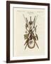 Weapons and Domestic Appliances of the Inhabitants of Nakuhiwa-null-Framed Giclee Print