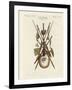 Weapons and Domestic Appliances of the Inhabitants of Nakuhiwa-null-Framed Giclee Print