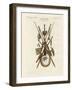 Weapons and Domestic Appliances of the Inhabitants of Nakuhiwa-null-Framed Giclee Print